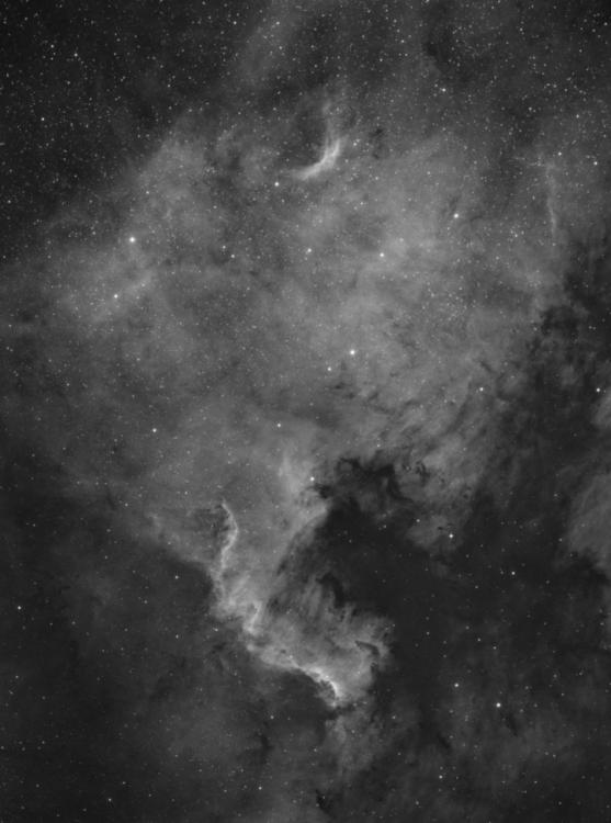 NGC7000_Ha.thumb.jpg.a3f73c3ed94399becc7