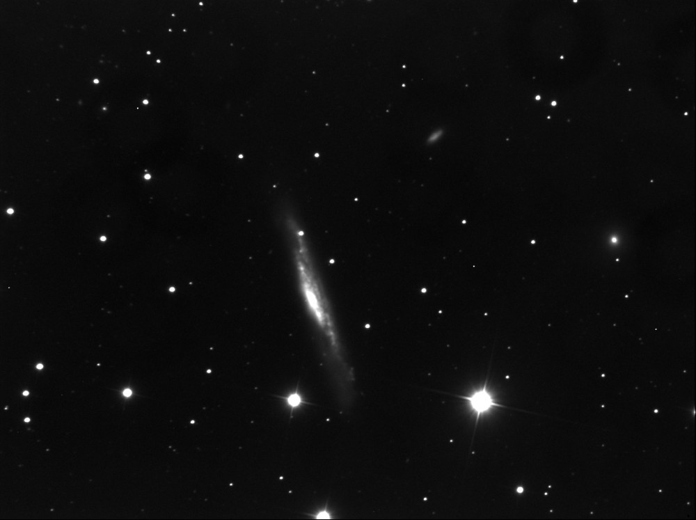 5692e4384eccf_NGC30793073.thumb.jpg.f5a4