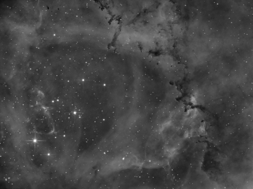 NGC2244 Rozeta.jpg