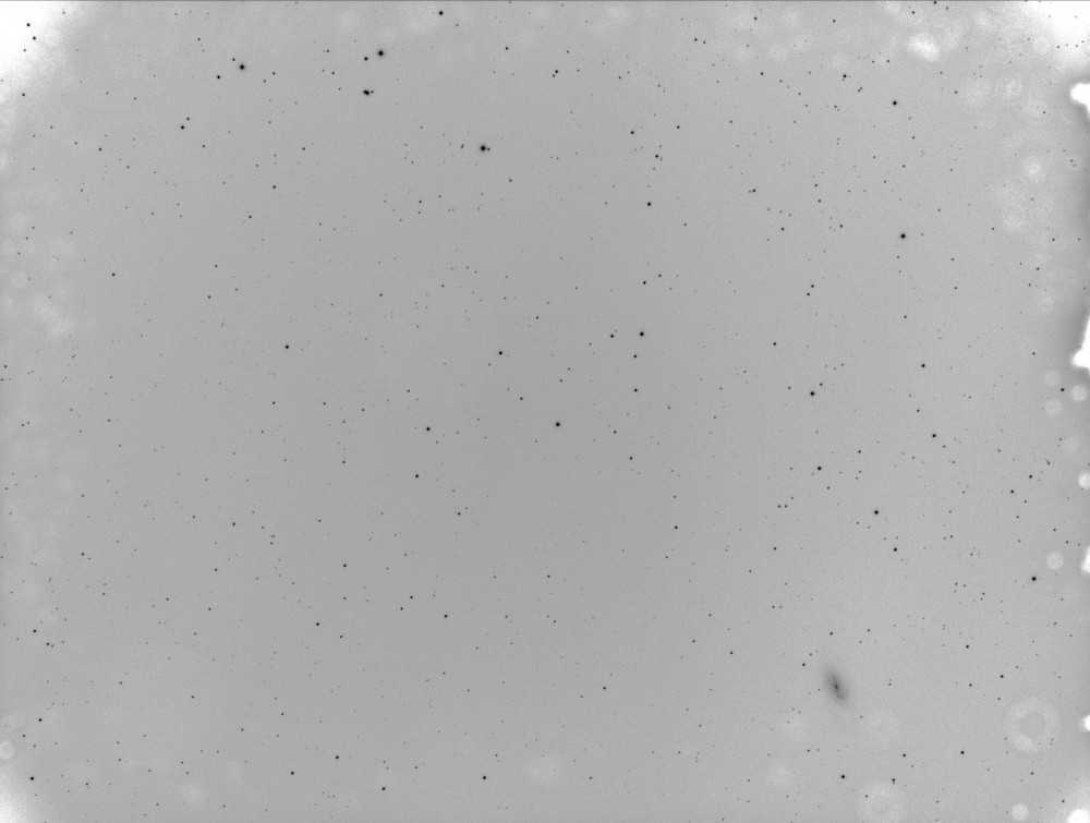 NGC2903iKometaNegatyw.jpg
