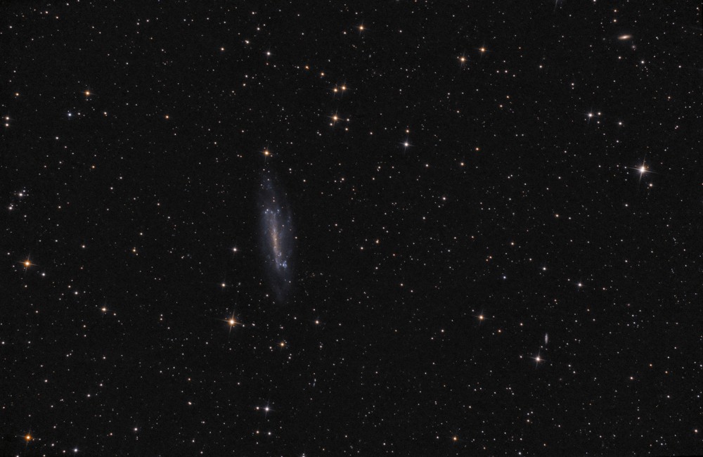 !Final_NGC4236_1920px.jpg