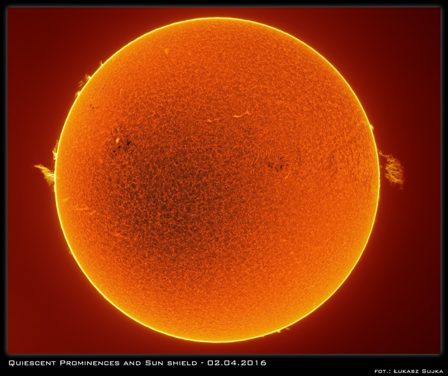sun shield copy.jpg