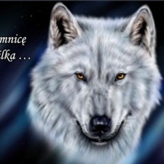 whitewolf1608