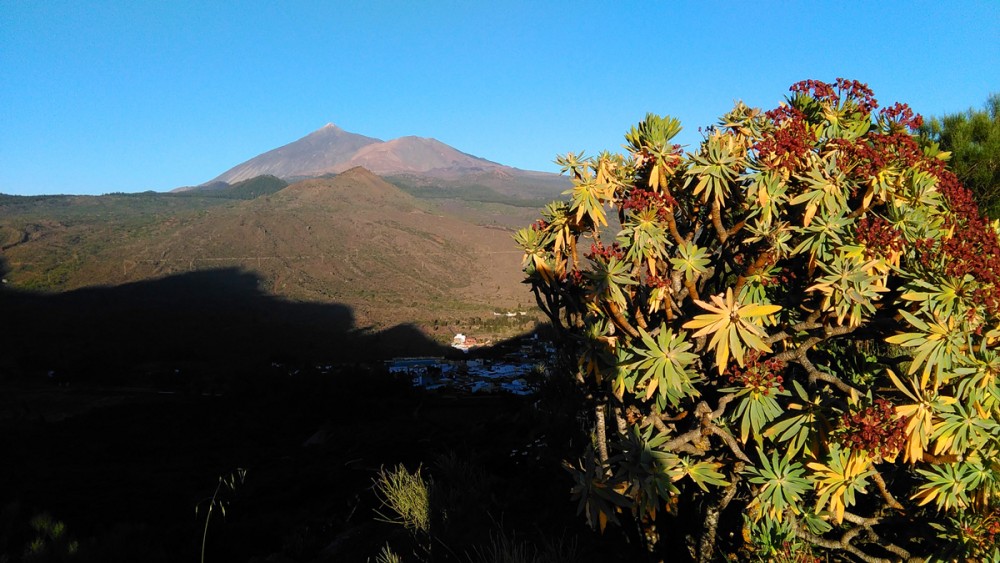 Teide i Pico Viejo.jpg