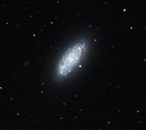 NGC2976.jpg