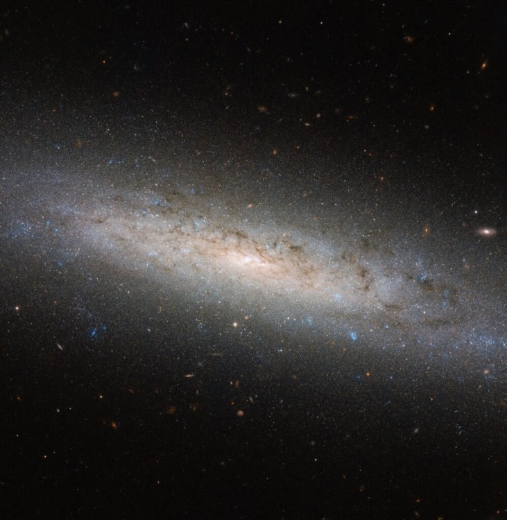 Hubble obserwuje NGC 24.jpg