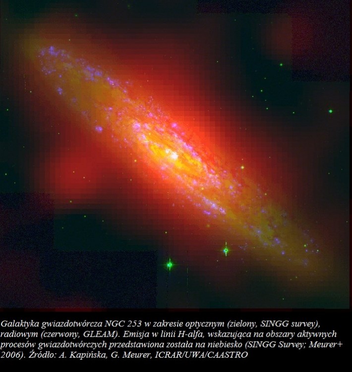 Astronomowie obserwują halo gwiazdotwórczej galaktyki NGC 253.jpg