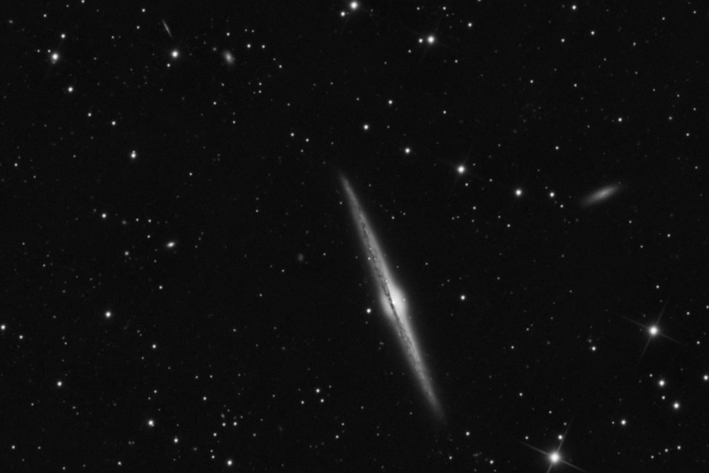 !NGC4565_L_crop.jpg
