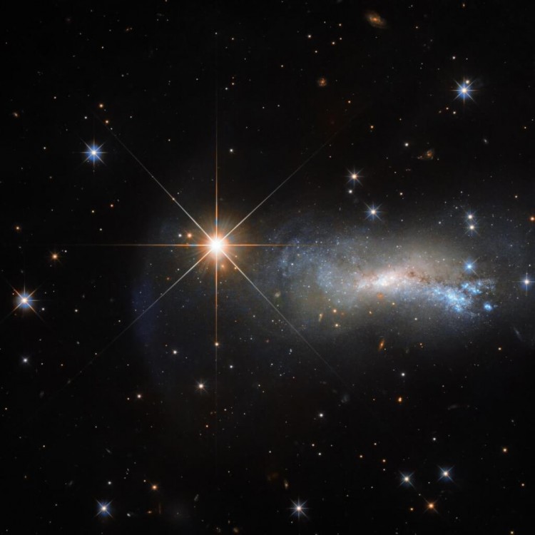 Hubble jasna gwiazda w Jaszczurce przesłaniająca galaktykę NGC 7250.jpg