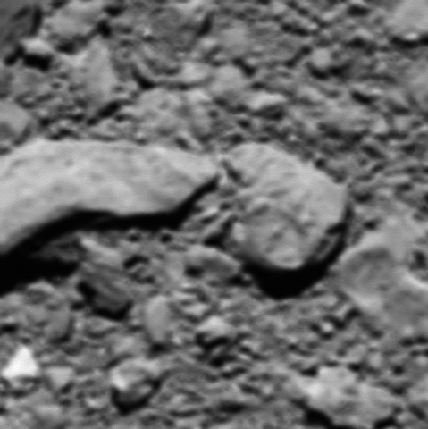 Rosetta.jpg.7af90cadc1c9bd9094960ebe95960a2d.jpg