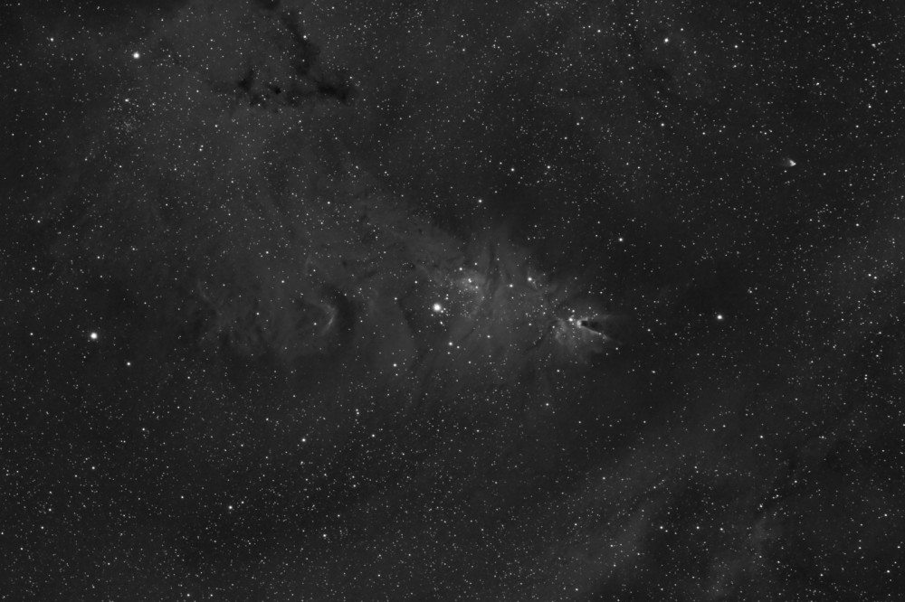 5a5663ad67e98_NGC2264Hafinpublic.thumb.jpg.7c4c63875dd36ecea355a9e1cb50c187.jpg