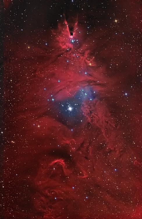 NGC2264.thumb.jpg.7a02954fa85392620cd16dafd91c6977.jpg