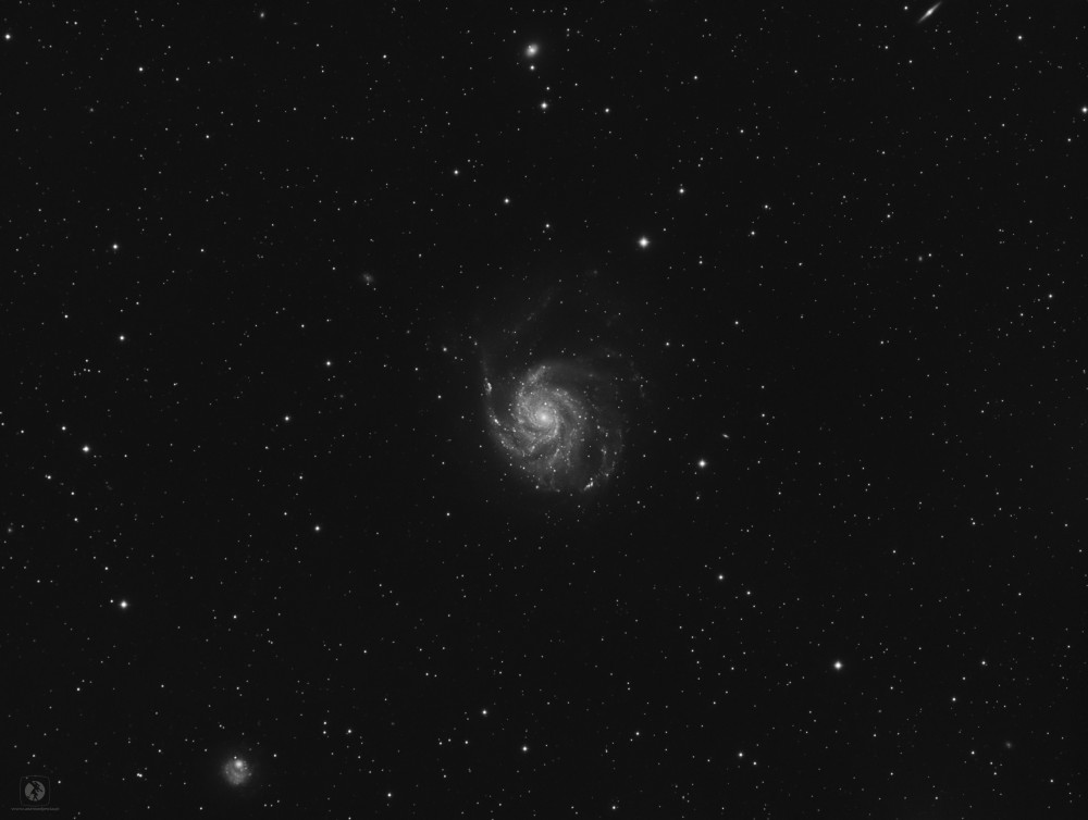 06-M101.thumb.jpg.f303652571f0d68fb569fa3071ea0b0e.jpg