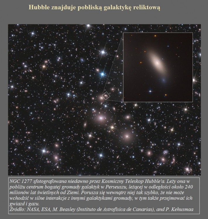Hubble znajduje pobliską galaktykę reliktową.jpg