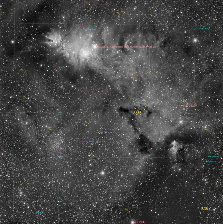 NGC2264_Ha_L_V1_End_v1_Annotatedj.thumb.jpg.7b53e0da08bddcc3e4cb40d91eaf67d6.jpg