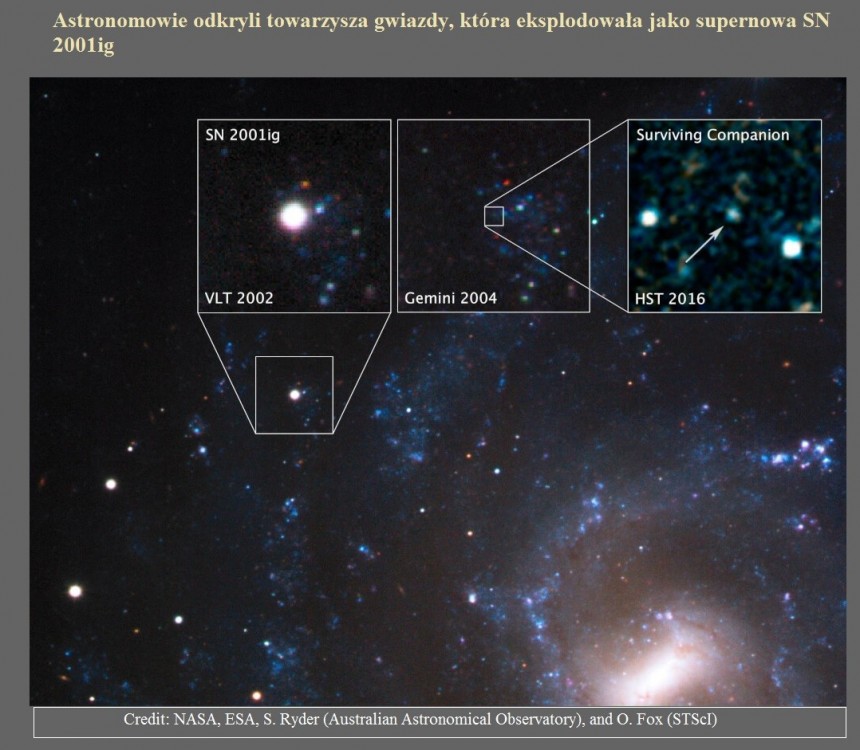 Astronomowie odkryli towarzysza gwiazdy, która eksplodowała jako supernowa SN 2001ig.jpg