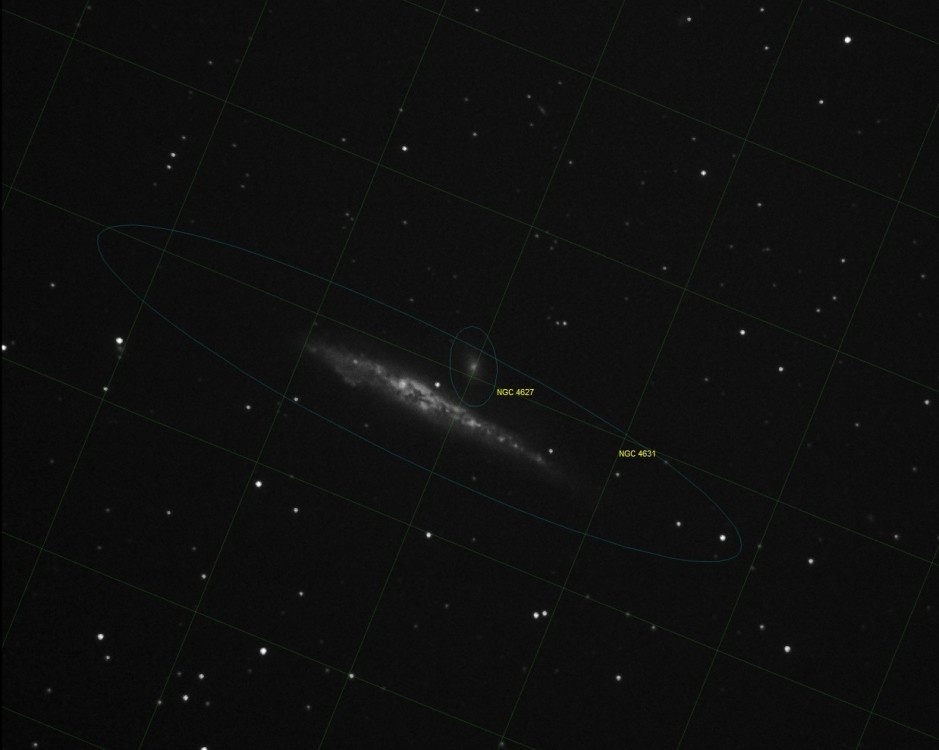 1088624489_NGC4631WielorybBWopis.thumb.jpg.cef4685f8553682dfec128de3c0dfc67.jpg