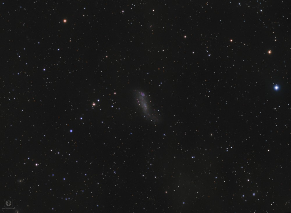 11-NGC2574-small.thumb.jpg.882352195e186b2f7c026e2f913b3c01.jpg