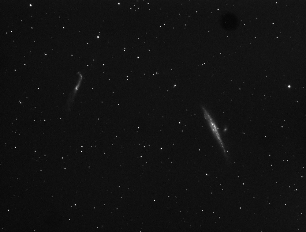NGC4631-0020L.jpg