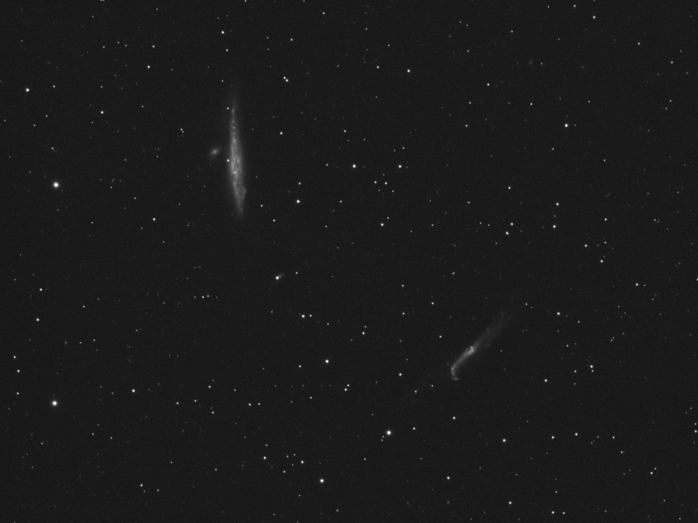 NGC4631-L.jpg