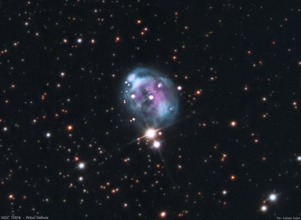1048787380_NGC7008crop.thumb.jpg.11d293585d20245af581784b5306bc4e.jpg