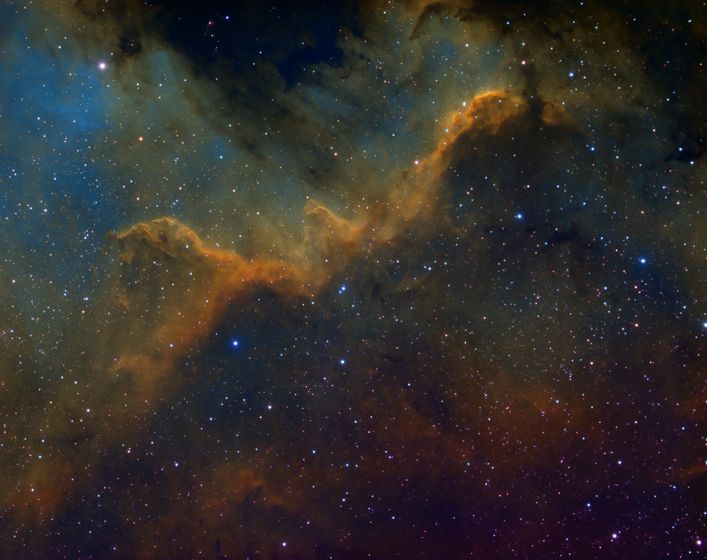Cygnus-Wall-clean-light.thumb.png.553529b65d72541bafd77394f2748814.png