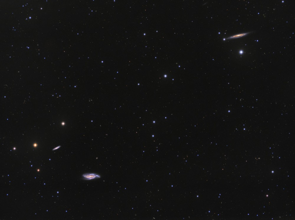 !Final_NGC4088_LRGB_v4_1920px.thumb.jpg.54a27ab5da3f416d39c7b28961e1659a.jpg