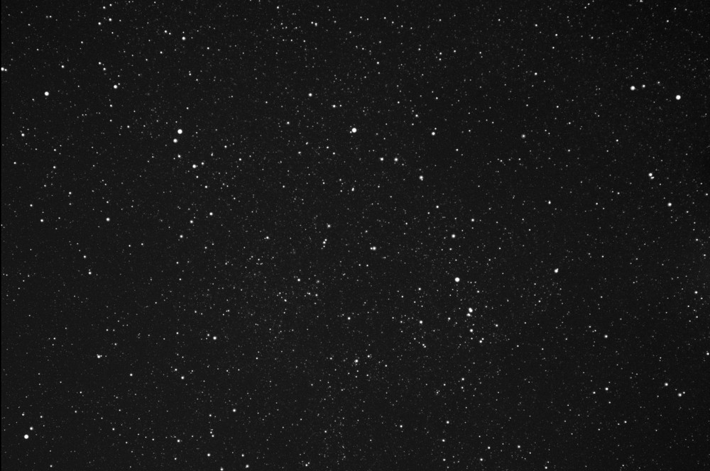 NGC6871.thumb.JPG.ffef0ed68fabff6a7fb28b8126960eb7.JPG