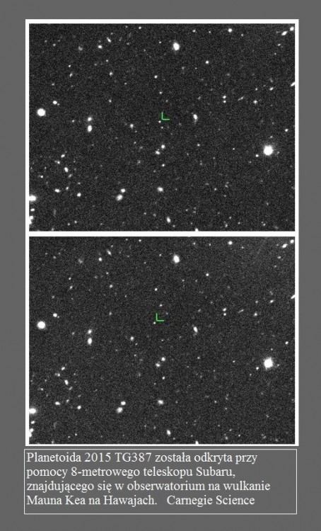 Co odległa planetoida może powiedzieć o PlanecieX.2.jpg