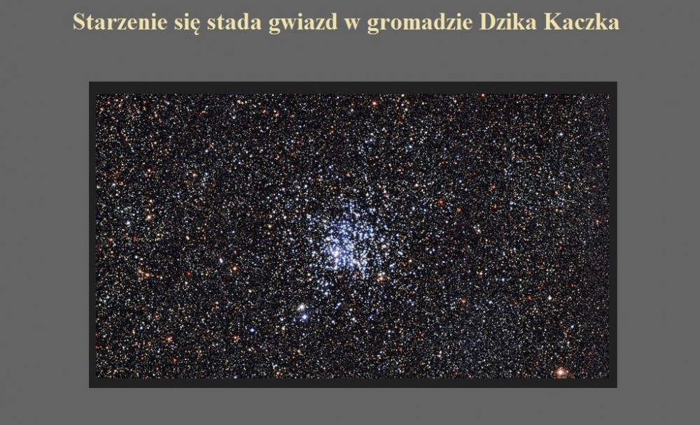 Starzenie się stada gwiazd w gromadzie Dzika Kaczka.jpg