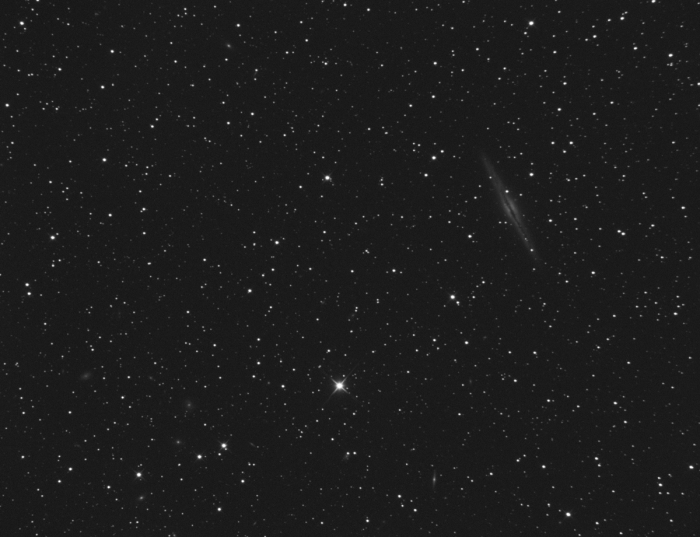 NGC891_0005L_ABE_clone.thumb.png.624640d428851d554e4f2567d7b3cafd.png