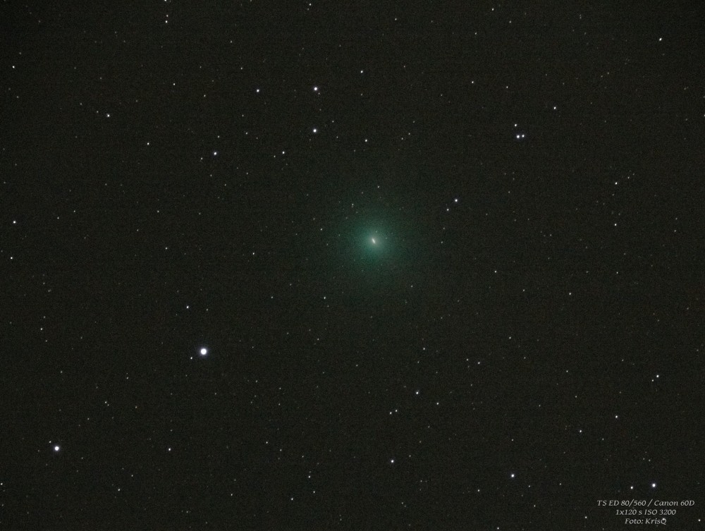 Kometa C  2018 Y1 (Iwamoto).jpg