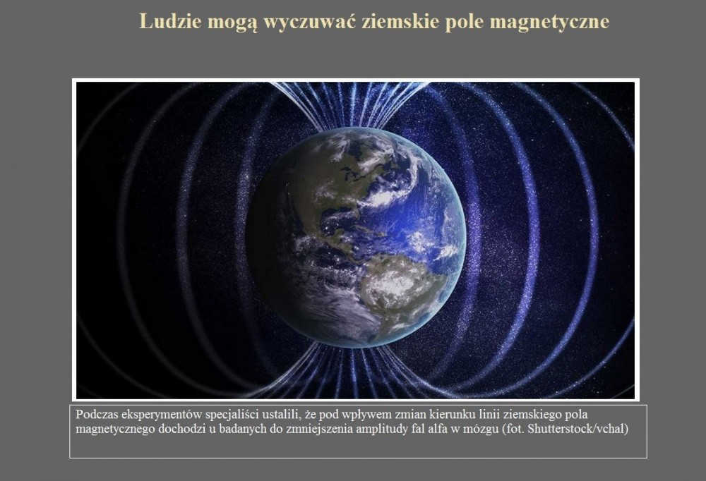 Ludzie mogą wyczuwać ziemskie pole magnetyczne.jpg