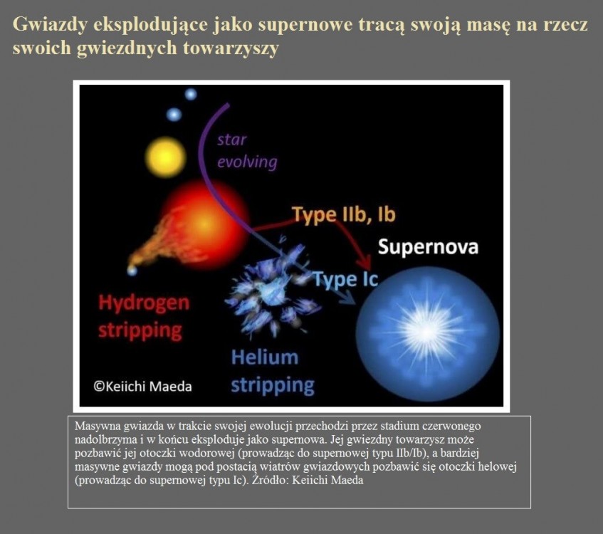 Gwiazdy eksplodujące jako supernowe tracą swoją masę na rzecz swoich gwiezdnych towarzyszy.jpg