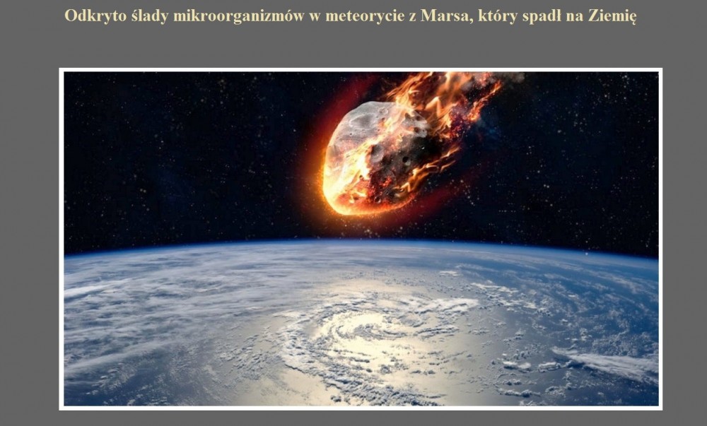 Odkryto ślady mikroorganizmów w meteorycie z Marsa, który spadł na Ziemię.jpg