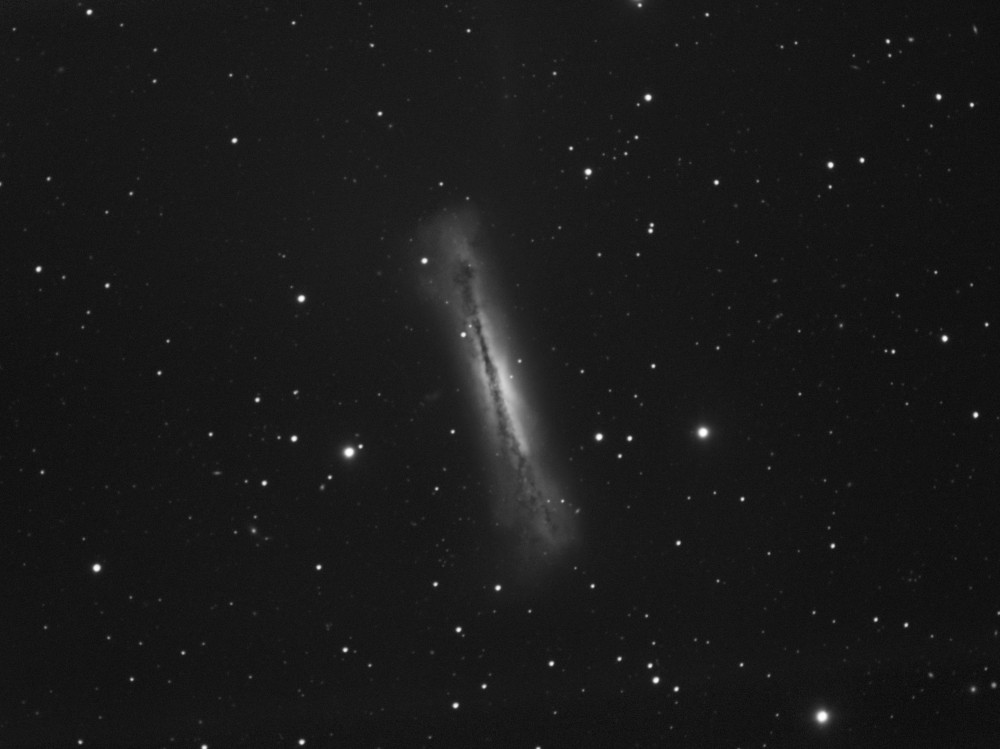 NGC3628L_E.jpg