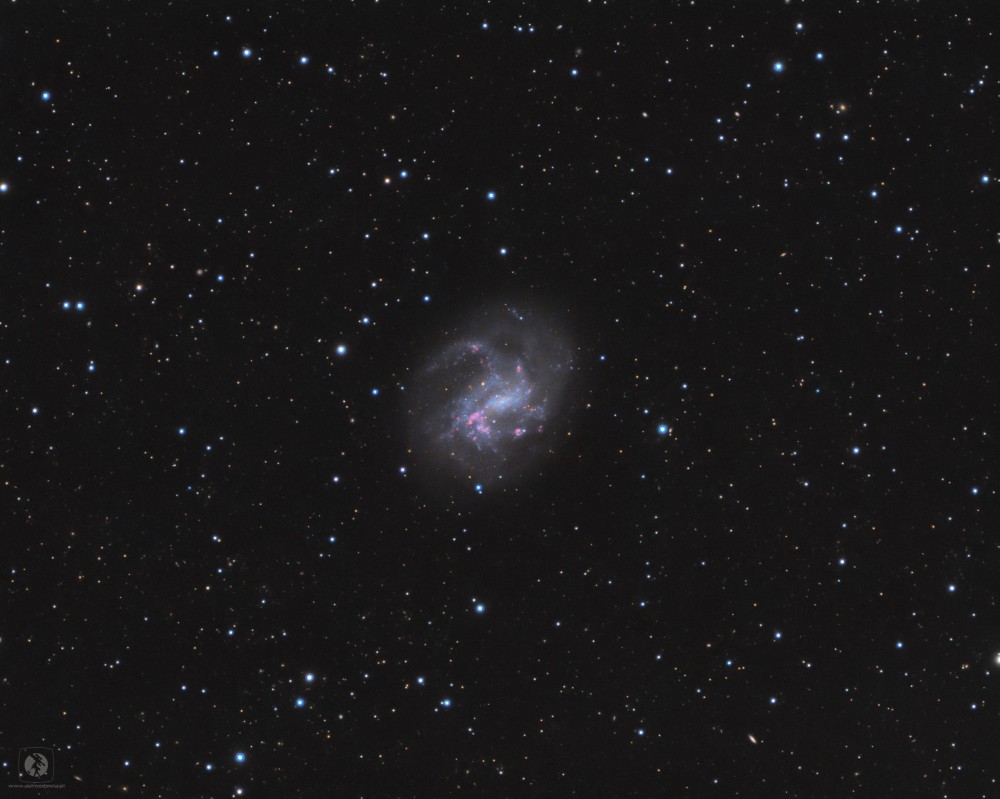 NGC4395-gotowe5.thumb.jpg.966f20bcd64873736bb99f0517c1085d.jpg