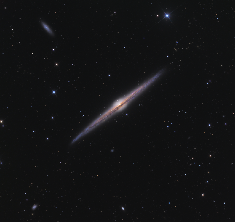 NGC4565.thumb.png.6b6b2601ee8020b14a4bccbd573d6d51.png