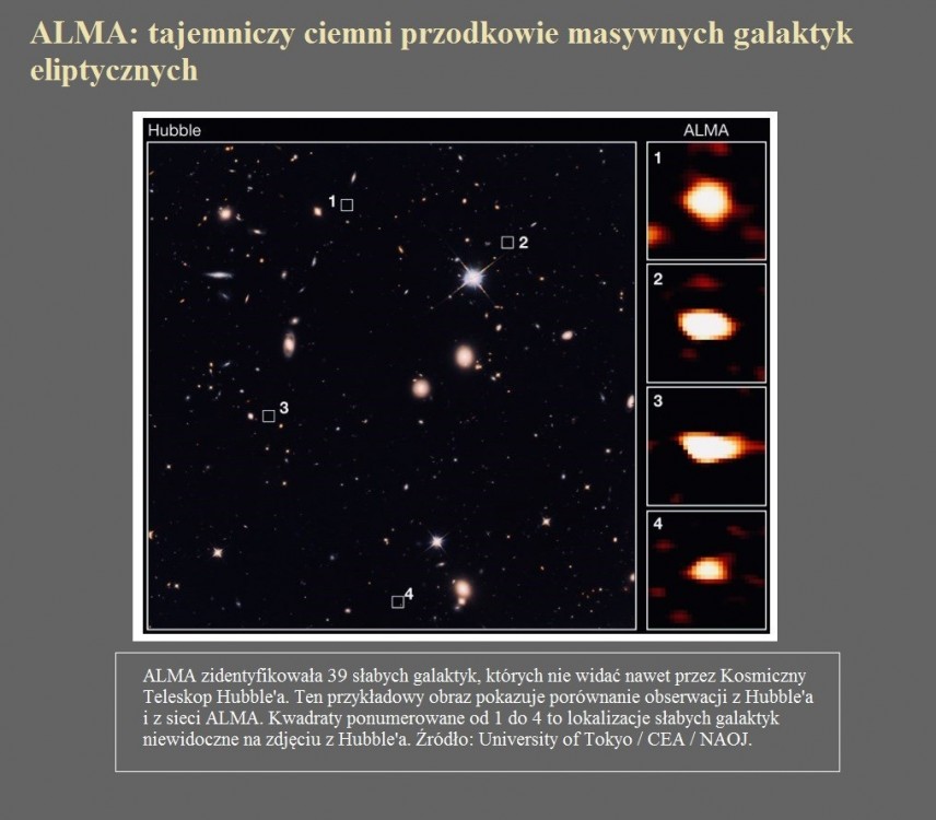 ALMA tajemniczy ciemni przodkowie masywnych galaktyk eliptycznych.jpg
