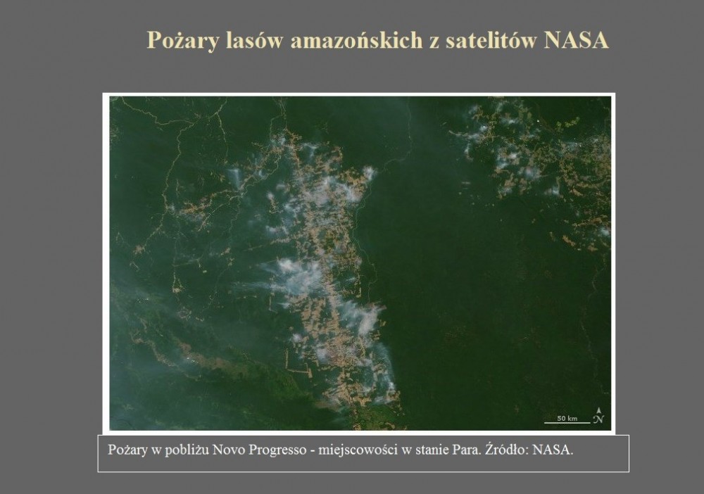 Pożary lasów amazońskich z satelitów NASA.jpg