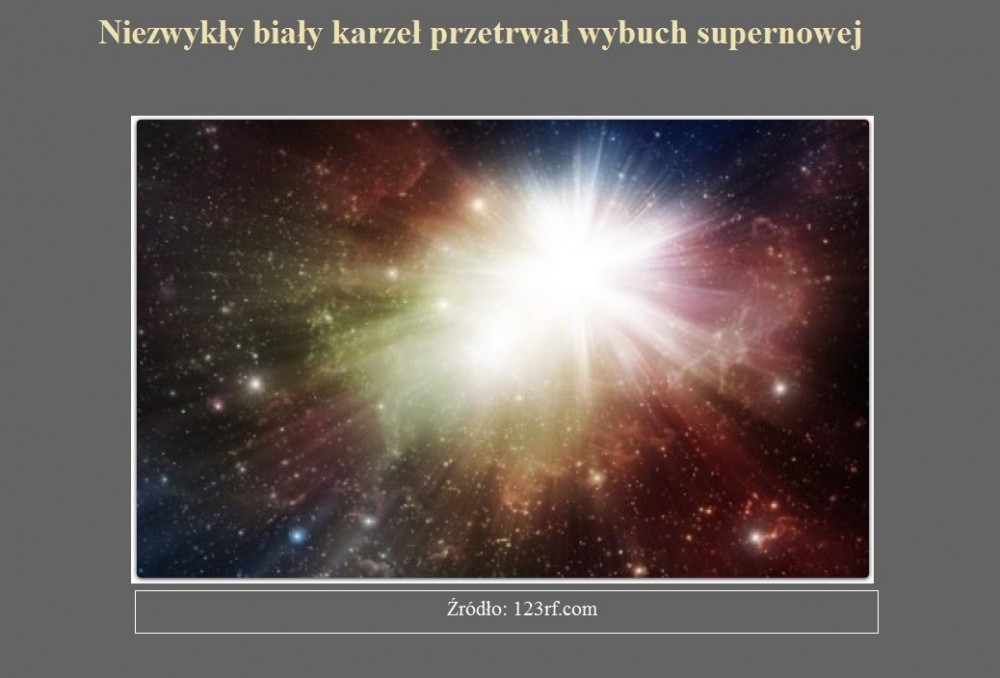 Niezwykły biały karzeł przetrwał wybuch supernowej.jpg