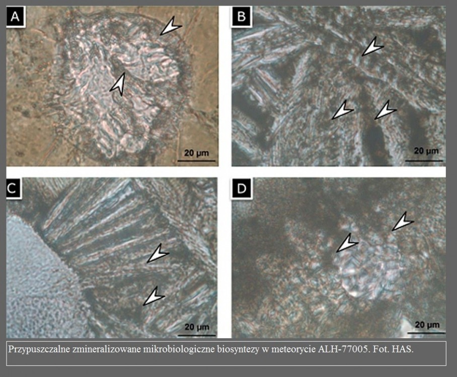 Odkryto ślady mikroorganizmów w meteorycie z Marsa, który spadł na Ziemię2.jpg