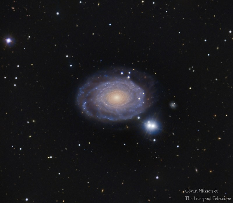NGC691.jpg.5c0afdcb2e53e6709ca75f7131537a9f.jpg