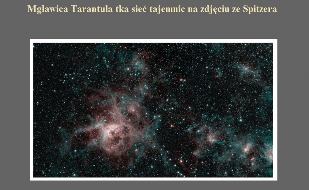 Mgławica Tarantula tka sieć tajemnic na zdjęciu ze Spitzera.jpg