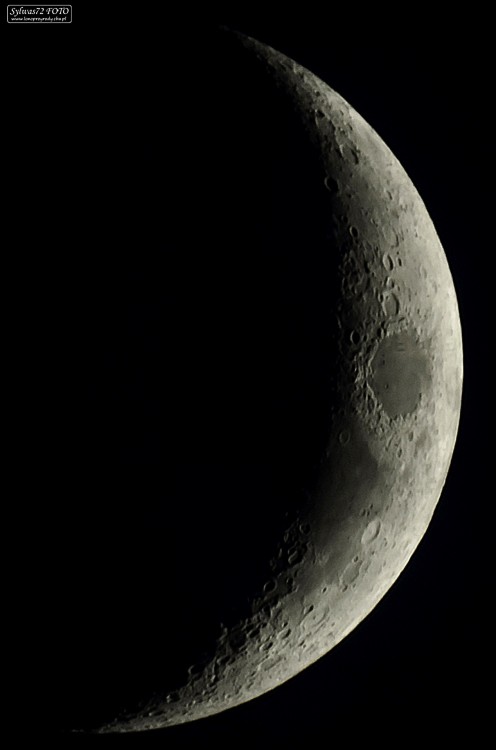 moon30122019.thumb.jpg.e1625bff75a5a1cca4c2dd3a03a07bc1.jpg