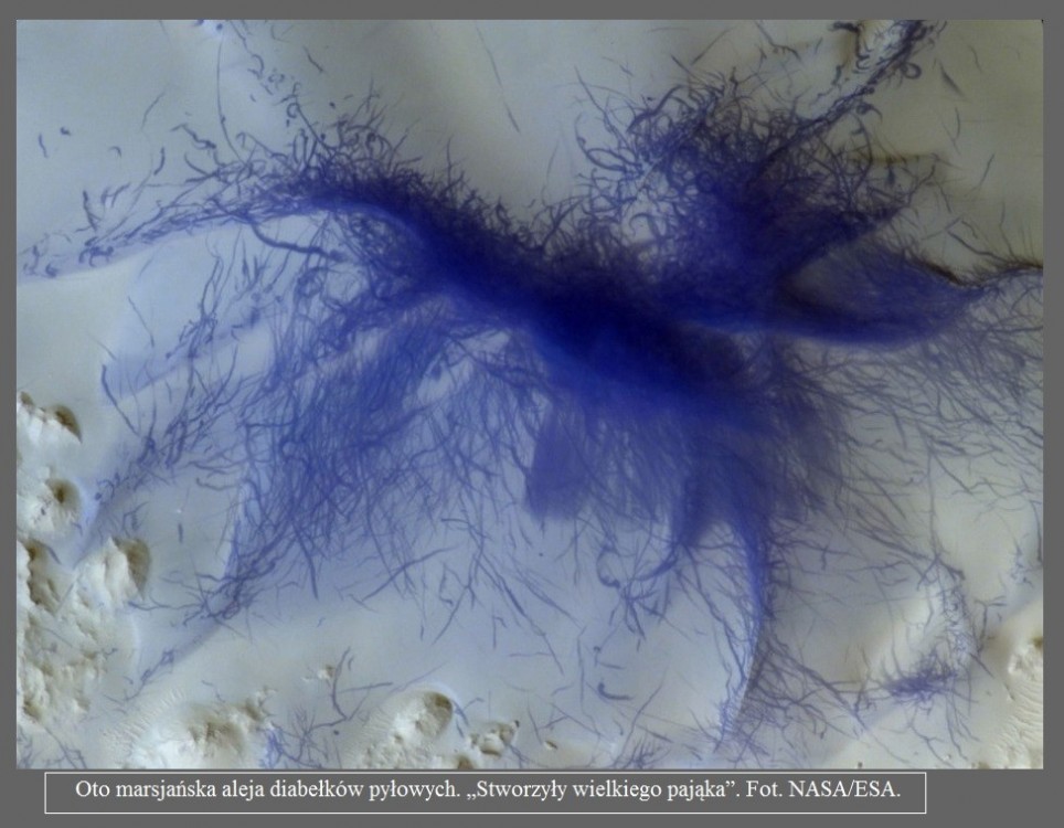 NASA uwieczniła diabełki pyłowe na Marsie. To zjawisko wygląda niesamowicie4.jpg