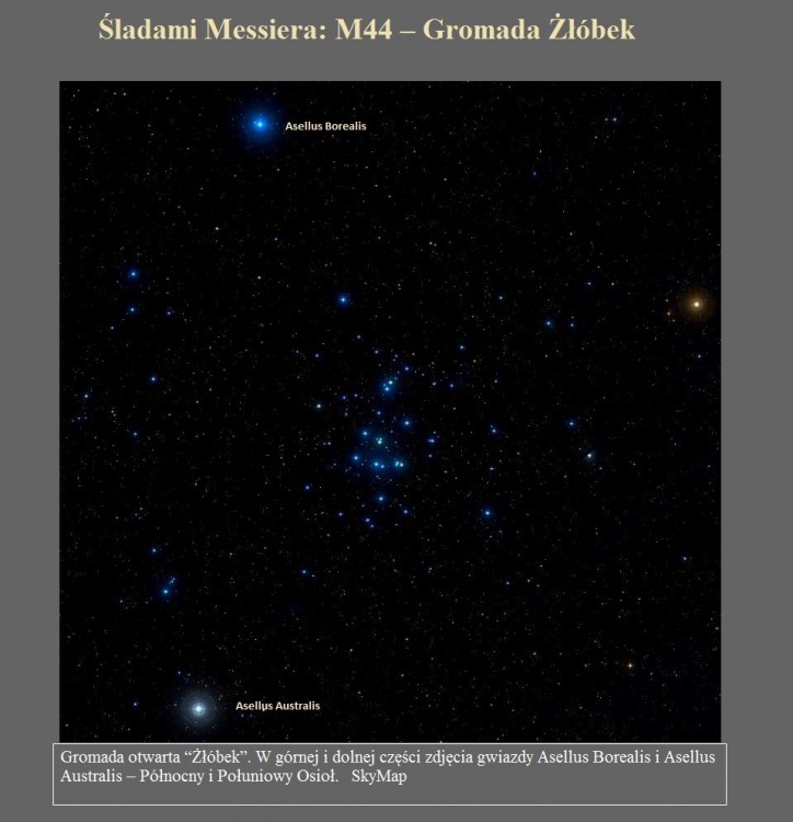 Śladami Messiera M44 ? Gromada Żłóbek.jpg