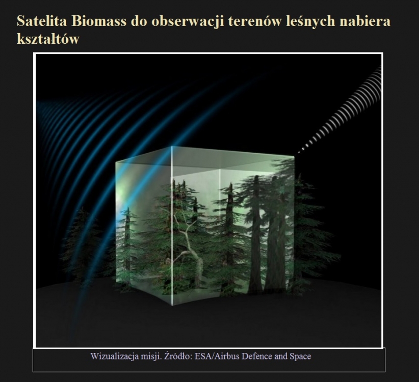 Satelita Biomass do obserwacji terenów leśnych nabiera kształtów.jpg