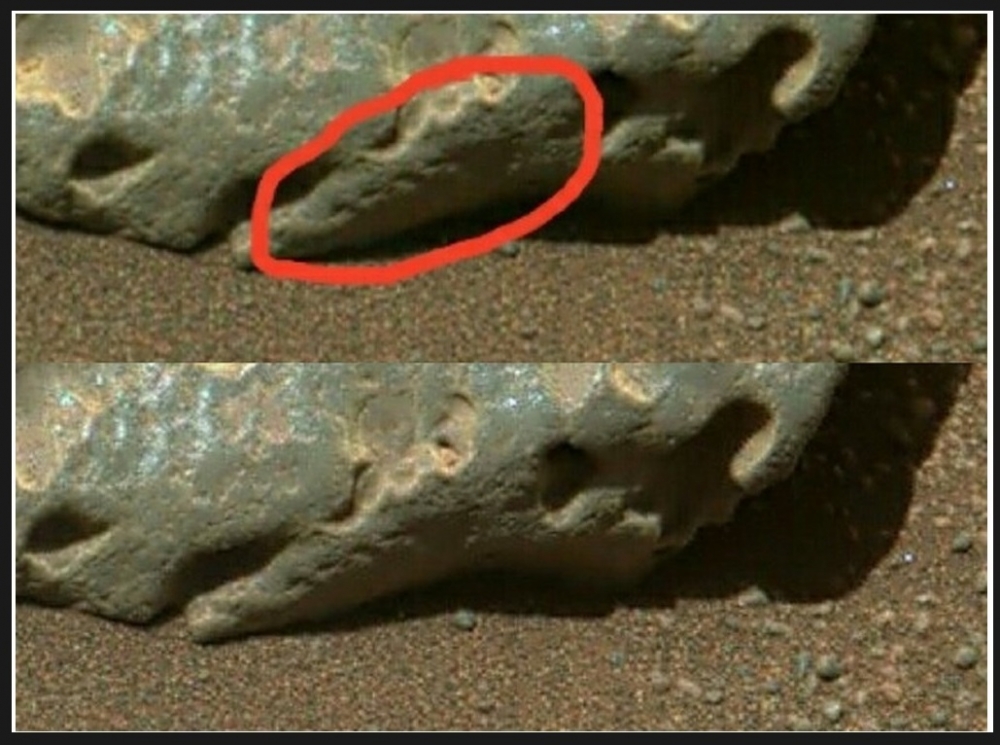 Łazik na Marsie natrafił na skałę, w której znajduje się łańcuszek dziwnych otworów3.jpg