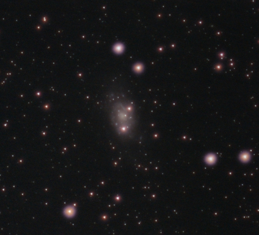 NGC2403.thumb.jpg.fc7ffed62dd1bdc1c545f490c4708d55.jpg